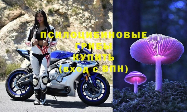 молекула духа Алексин