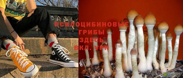 не бодяженный Абинск