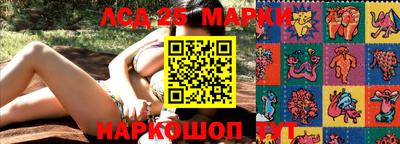 стафф Ставрополь