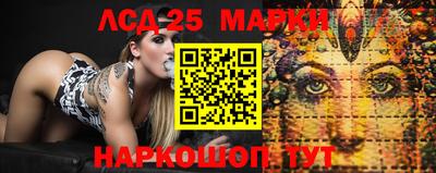 стафф Ставрополь