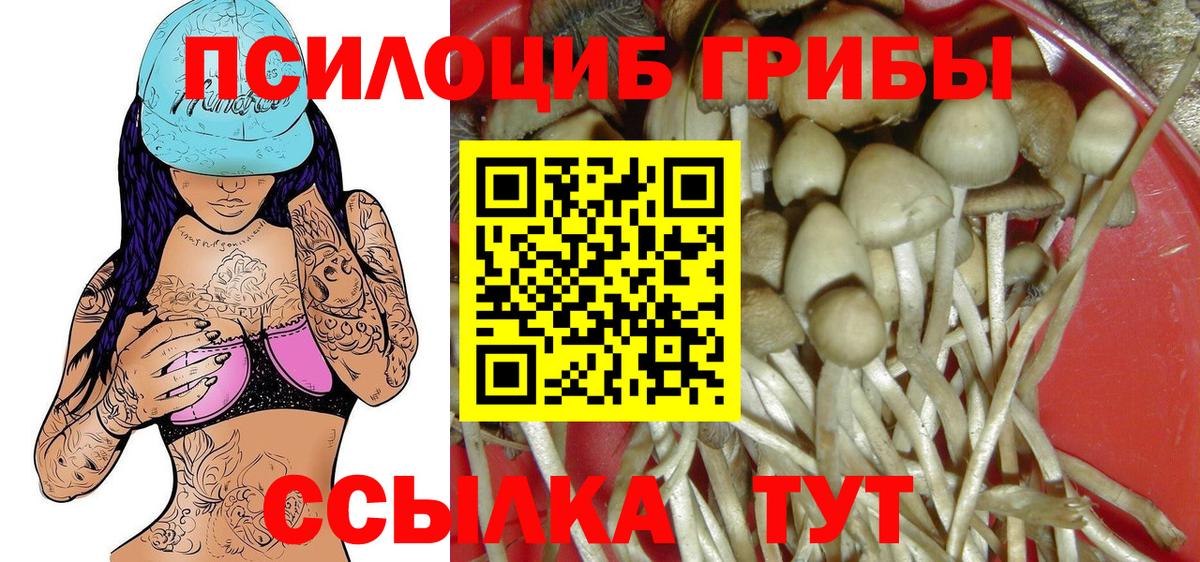 Псилоцибиновые грибы MAGIC MUSHROOMS  Вход с VPN  Черемхово 